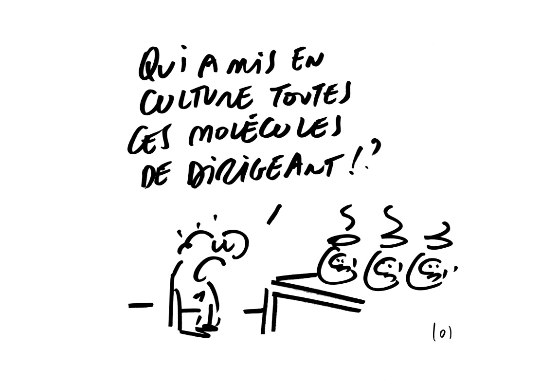 RAPAPORT DESSINS:CHANGEMENT ENTREPRISE4