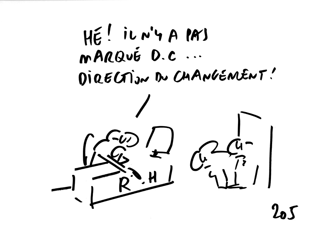 RAPAPORT DESSINS:CHANGEMENT ENTREPRISE72