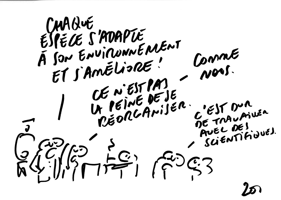 RAPAPORT DESSINS:CHANGEMENT ENTREPRISE78